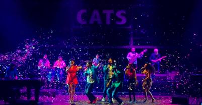 Cats in Concert 