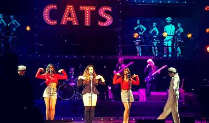 Cats in Concert 